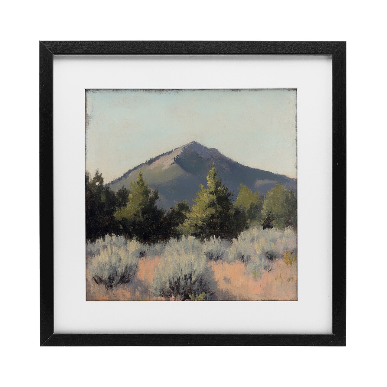 Stupell Industries Tucson Mountain Landscape Framed Print Under Glass, design by Petal Prints Design